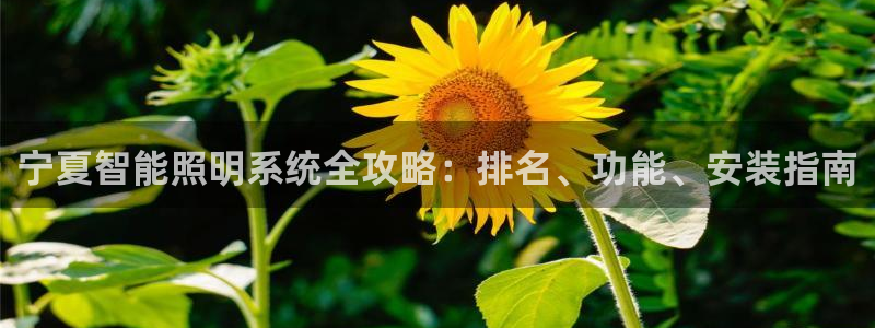云顶国际怎么进不去了