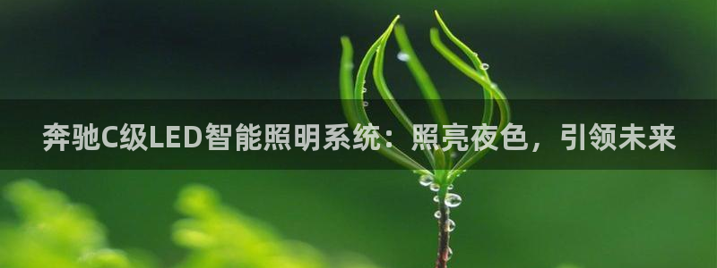 云顶国际足球app下载安装