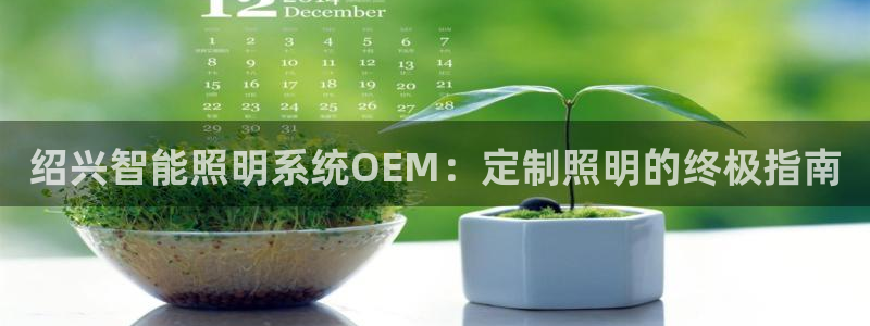 云顶集团董事长林东简历