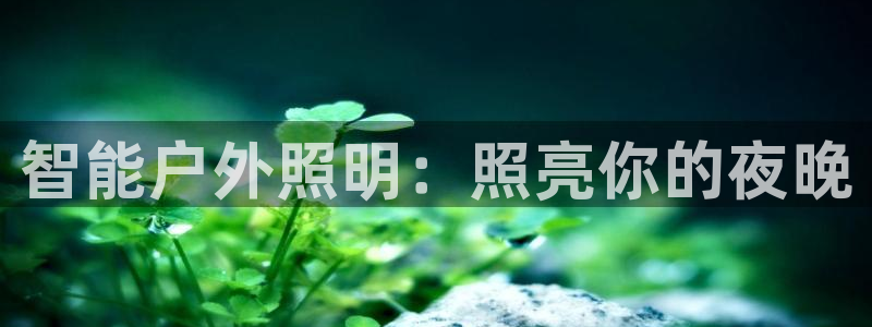 云顶国际装饰设计