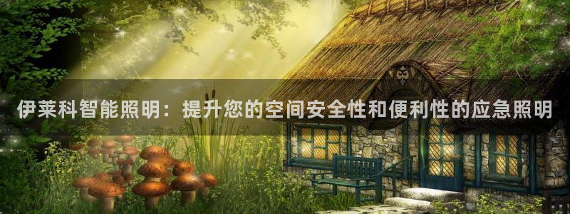 云顶国际是做什么的