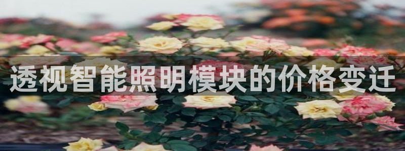 云顶集团app免费下载安装
