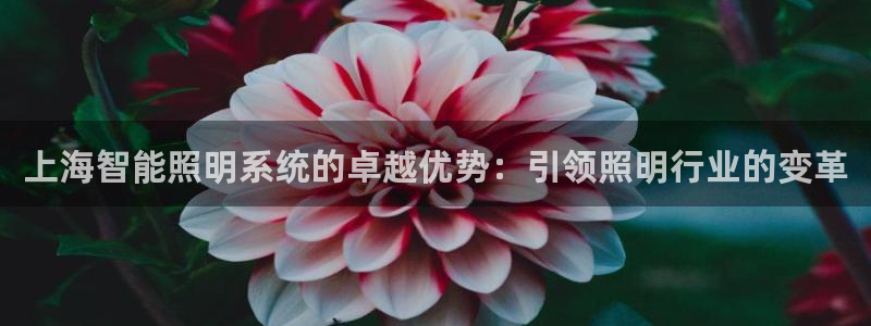 云顶国际林梧桐