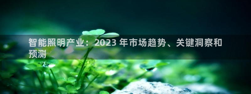 云顶集团app免费下载苹果