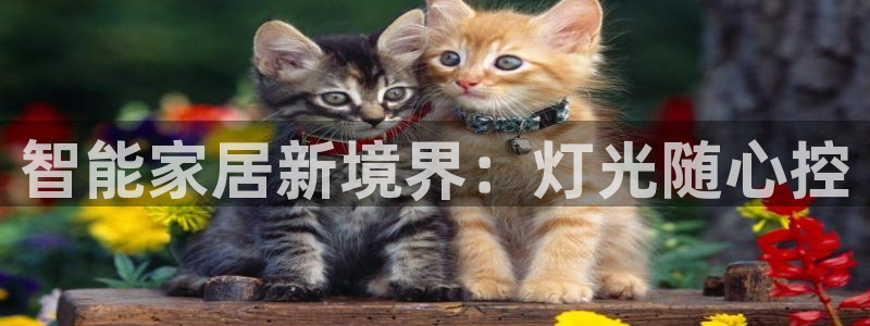 云顶国际注册送28：智能家居新境界：灯光