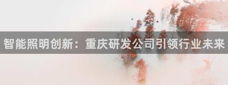 云顶小学国际班学费